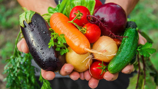 A person holding a variety of vegetables straight from the garden including eggplant, carrots, cucumber and more.