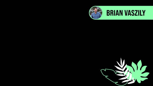 Black image with colorful plants and Brian Vaszily title