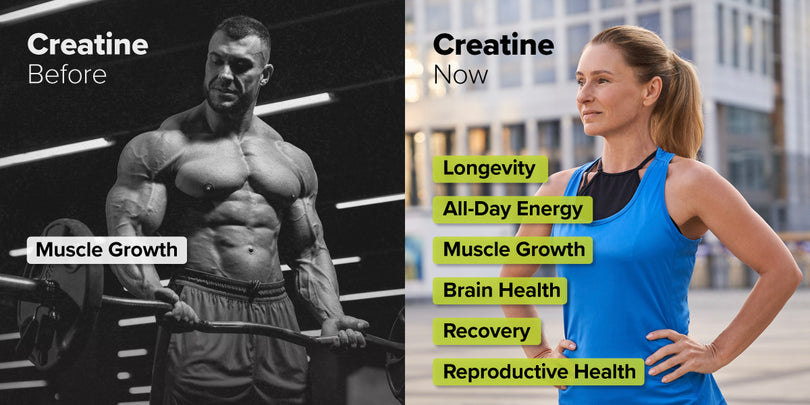 Split image showing “Creatine Before” with a muscular man lifting weights for muscle growth, and “Creatine Now” with a fit woman outdoors, highlighting benefits like longevity, energy, brain health, recovery, and reproductive health.