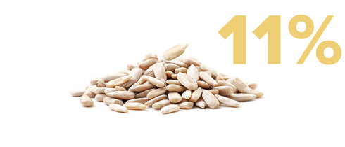 A pile of sunflower seeds is centered on a white background with 11% in large yellow text to the right.