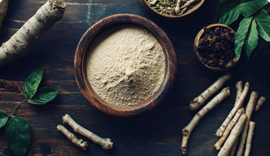 A wooden bowl filled with ashwagandha powder sits on a dark wooden surface, surrounded by ashwagandha roots, green leaves, and small bowls containing dried herbs.