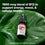 A bottle of Complement Triple B12 spray sits on a large green leaf. Text above reads, 1500 mcg blend of B12 to support energy, mood, & cellular health.* Text below reads, Absorption-optimized formula.