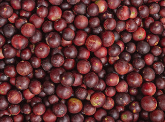 A large pile of small, round, dark red-purple fruits closely packed together, covering the entire image.
