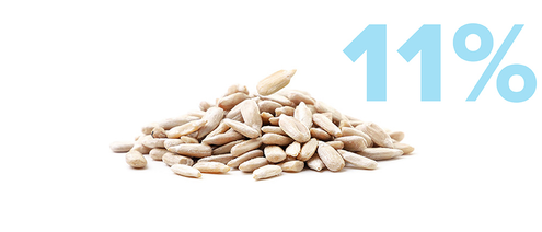 A pile of sunflower seeds sits on a white background, with a large blue 11% displayed to the right of the seeds.