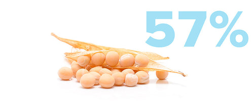 A dry pea pod with peas spilling out is displayed on a white background. Beside it, there is a large, light blue 57%.