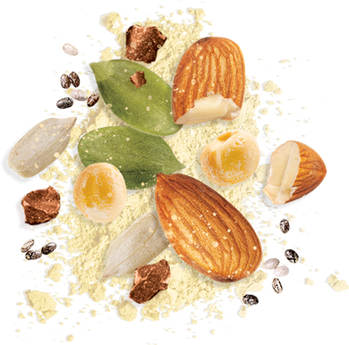 A variety of almonds, whole and halved, are scattered on a background of almond flour. Mixed with green leaves, almond shells, and small chocolate chunks.