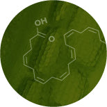 Green circular image with a white chemical structure diagram of a molecule, featuring a hexagonal ring with an OH group attached. The background has a textured, leafy appearance.