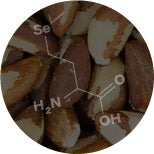 A circular image of brown and white seeds with a superimposed chemical structure, labeled with elements such as Se, H2N, OH, and O.