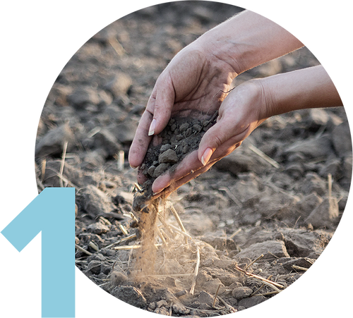 Hands gently pouring soil, surrounded by a circular frame. A large blue number 1 is in the lower left corner. The background shows a dry, earthy surface.