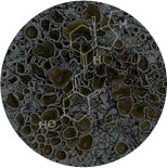 A circular image showing a close-up of a substance with bubbly, uneven surfaces resembling cells. Overlayed is a faint white chemical structure with hexagonal and linear components, labeled with a few chemical symbols.
