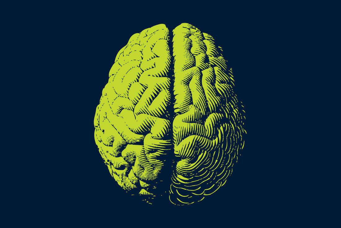 graphic image of brain. Green wiht a dark blue background.