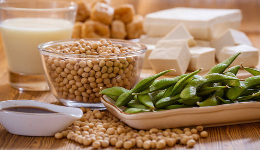 soy beans in many forms, including tofu, whole bean, and edamame