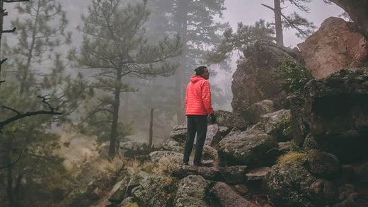 A man wearing a red jacket stops on a hiking trail to contemplate the view.