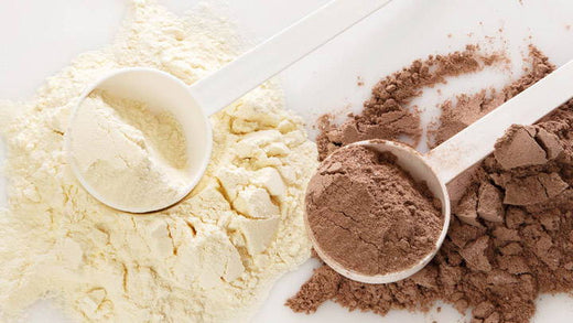 A spoonful of vanilla protein powder next to a spoonful of chocolate protein powder.