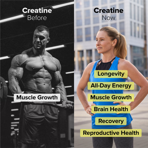 Split image: Left shows a muscular man labeled Creatine Before with Muscle Growth. Right shows a woman labeled Creatine Now with benefits like longevity, energy, brain health, recovery, and reproductive health.