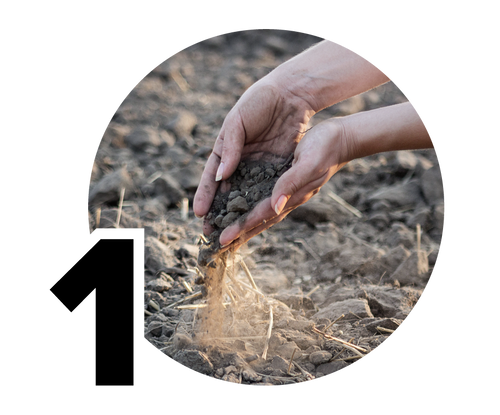 Hands gently sifting dry soil through fingers, with a blurred background of a barren field, symbolizing connection to nature and agriculture.