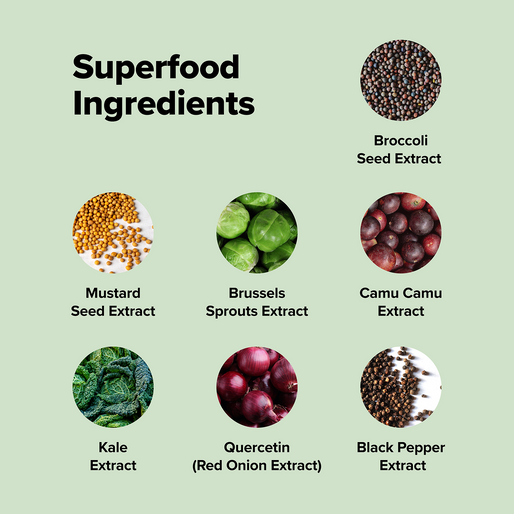 Graphic showing seven superfood ingredients: broccoli seed extract, mustard seed extract, Brussels sprouts extract, camu camu extract, kale extract, quercetin (red onion extract), and black pepper extract.