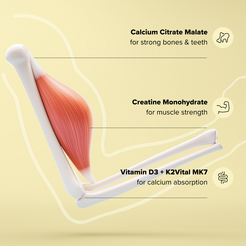 3D illustration of a human arm with visible bone and muscle. Text highlights benefits of calcium citrate malate (strong bones & teeth), creatine monohydrate (muscle strength), and vitamin D3 + K2Vital MK7 (calcium absorption).