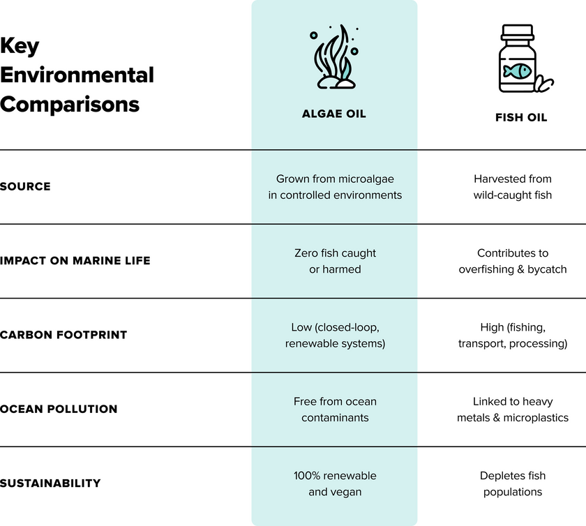 A comparison chart of algae oil and fish oil shows algae oil is grown from microalgae, has low marine impact, low carbon footprint, no ocean pollution, and is sustainable; fish oil is less sustainable and harms marine life.