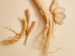 Whole and sliced ginseng roots with thin offshoots are arranged on a beige surface. The roots are pale, with twisted, stringy ends and circular slices showing the internal texture.