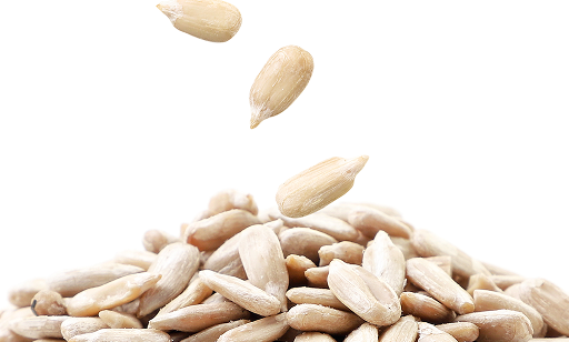 Close-up of a pile of sunflower seeds with three seeds falling above, set against a white background.