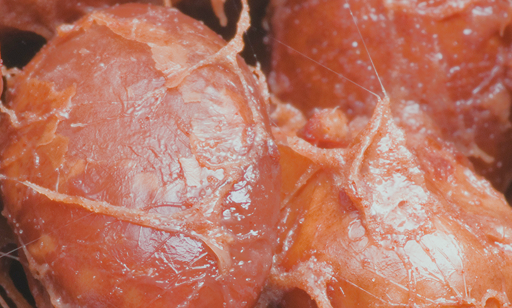 Close-up of reddish-brown seeds covered in a shiny, translucent, sticky coating with fibrous strands, possibly fruit pulp or resin, across the surfaces.