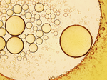 Close-up image of oil droplets of various sizes suspended in a yellowish liquid, creating a pattern of overlapping and intersecting circles and bubbles.