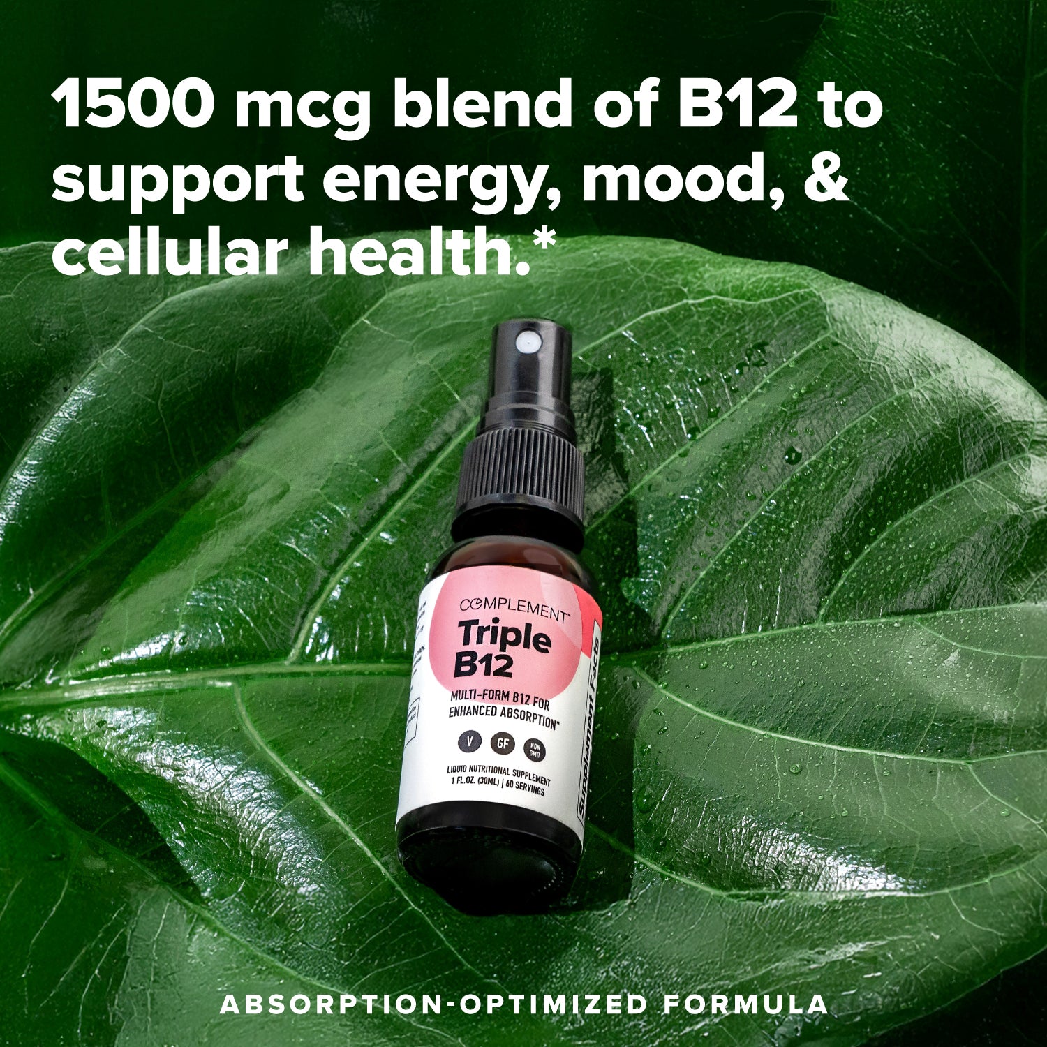 Vegan Triple B12 Liquid Vitamin - 3 Forms of B12 for Bett Complement Vegan Triple B12 Liquid Vitamin - 3 Forms of B12 for Bett Complement