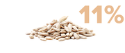 A pile of sunflower seeds on a white background with the number 11% in large tan font on the right side.