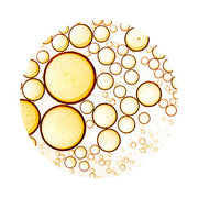 Abstract image of variously sized beige and brown circles resembling cells or bubbles on a white background, creating a pattern of overlapping and clustered circles.