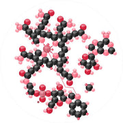 Diagram of a complex molecular structure with interconnected black, red, and pink spheres representing atoms and bonds, arranged in a branching formation.