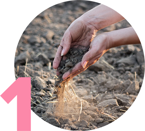 Hands gently sifting soil in a field, with a pink number one on the left side.