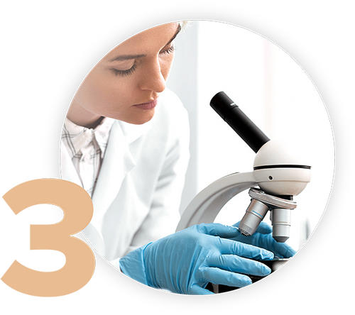 A person wearing a lab coat and blue gloves is inspecting a microscope. The focus is on the individual adjusting the microscopes settings, with a large number three partially overlaid on the image.