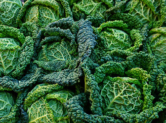 Close-up of multiple heads of savoy cabbage, showing crinkled, dark green outer leaves with lighter green, textured veins. The cabbages are tightly packed together, highlighting their bumpy surfaces.