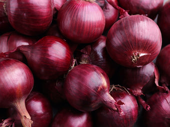 A close-up view of several whole red onions with shiny, deep purple skins piled together.