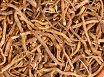 A close-up of a pile of dried roots, showing their brown, rough, and twisted appearance with various thicknesses and tangled forms.