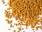A close-up of scattered yellow mustard seeds on a white surface.