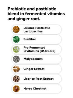 List of ingredients in Complement Gut Nurture prebiotic and postbiotic blend: LBiome Postbiotic Lactobacillus, Sunfiber, Pre-Fermented B Vitamins, Molybdenum, Ginger Extract, Licorice Root Extract, Horse Chestnut